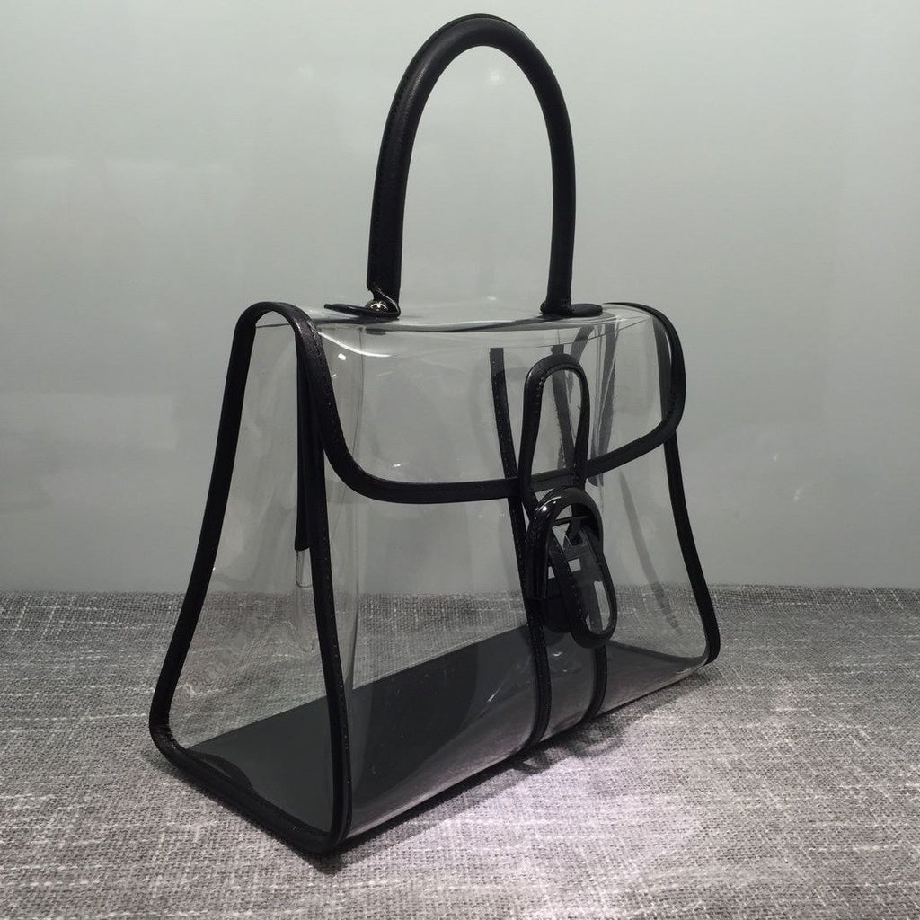 Delvaux X-Ray Bag