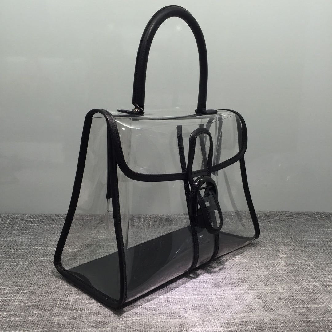 Delvaux X-Ray Bag