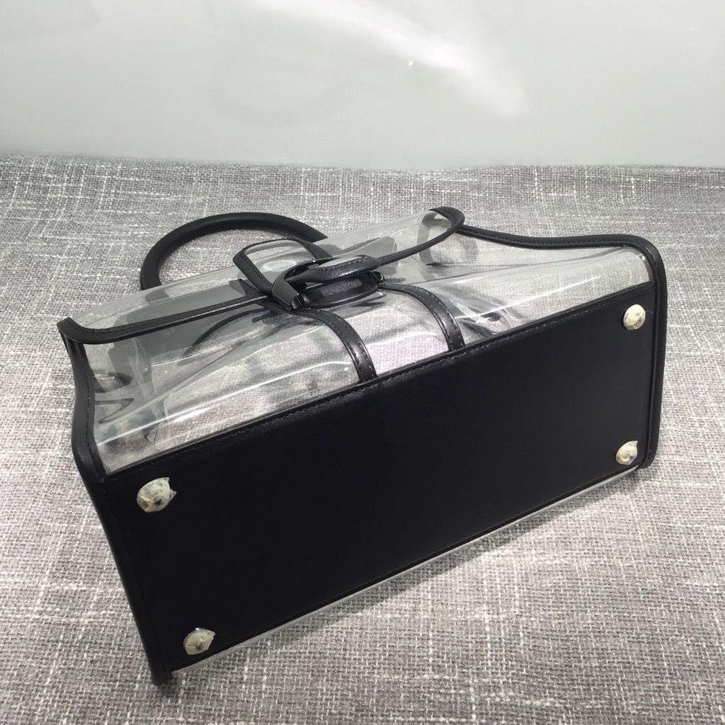 Delvaux X-Ray Bag