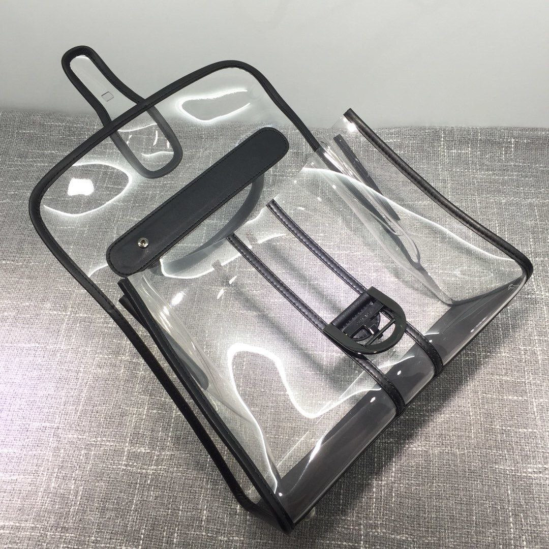 Delvaux X-Ray Bag