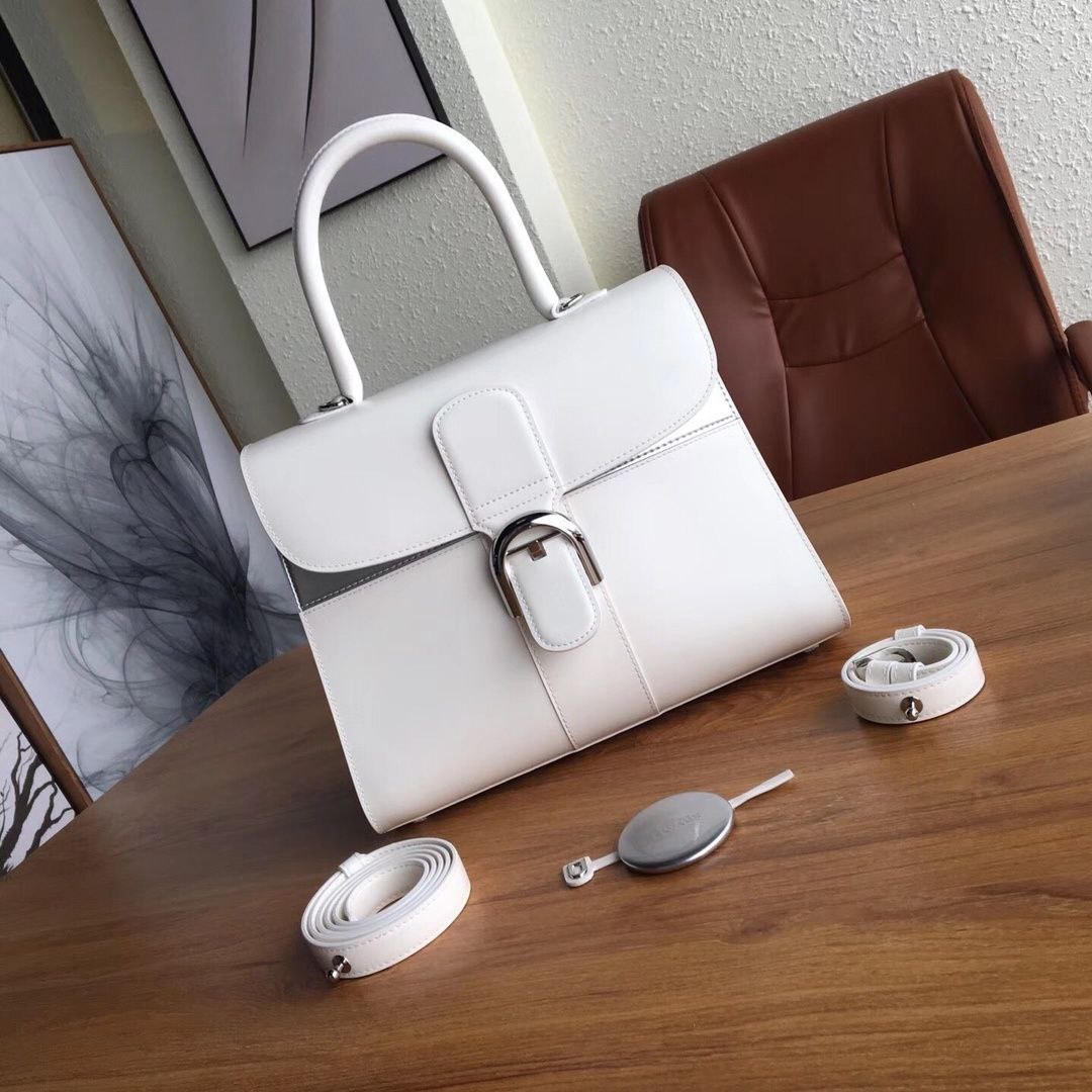 Delvaux Brilliant Handbag