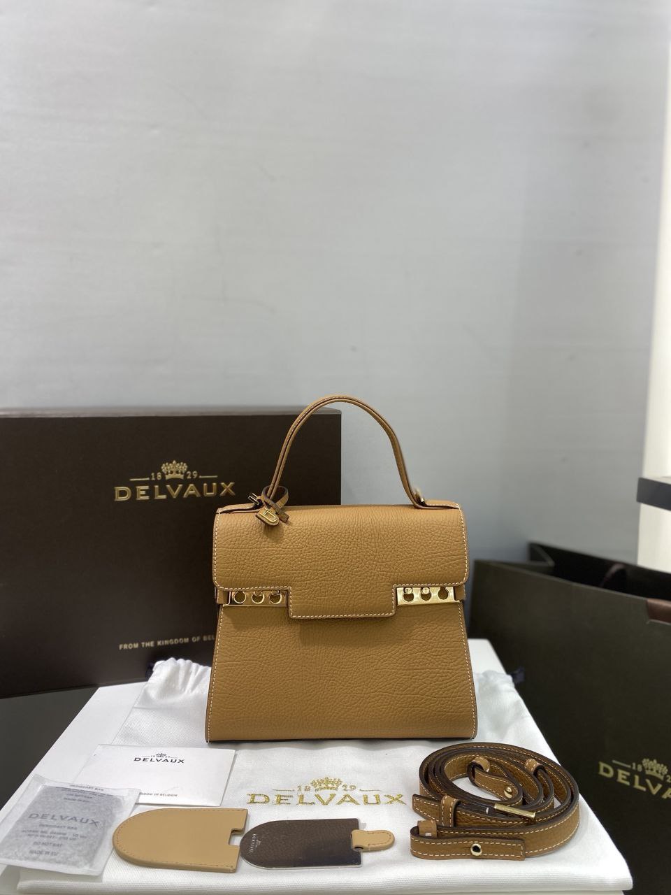 Delvaux Tempete PM Handbag