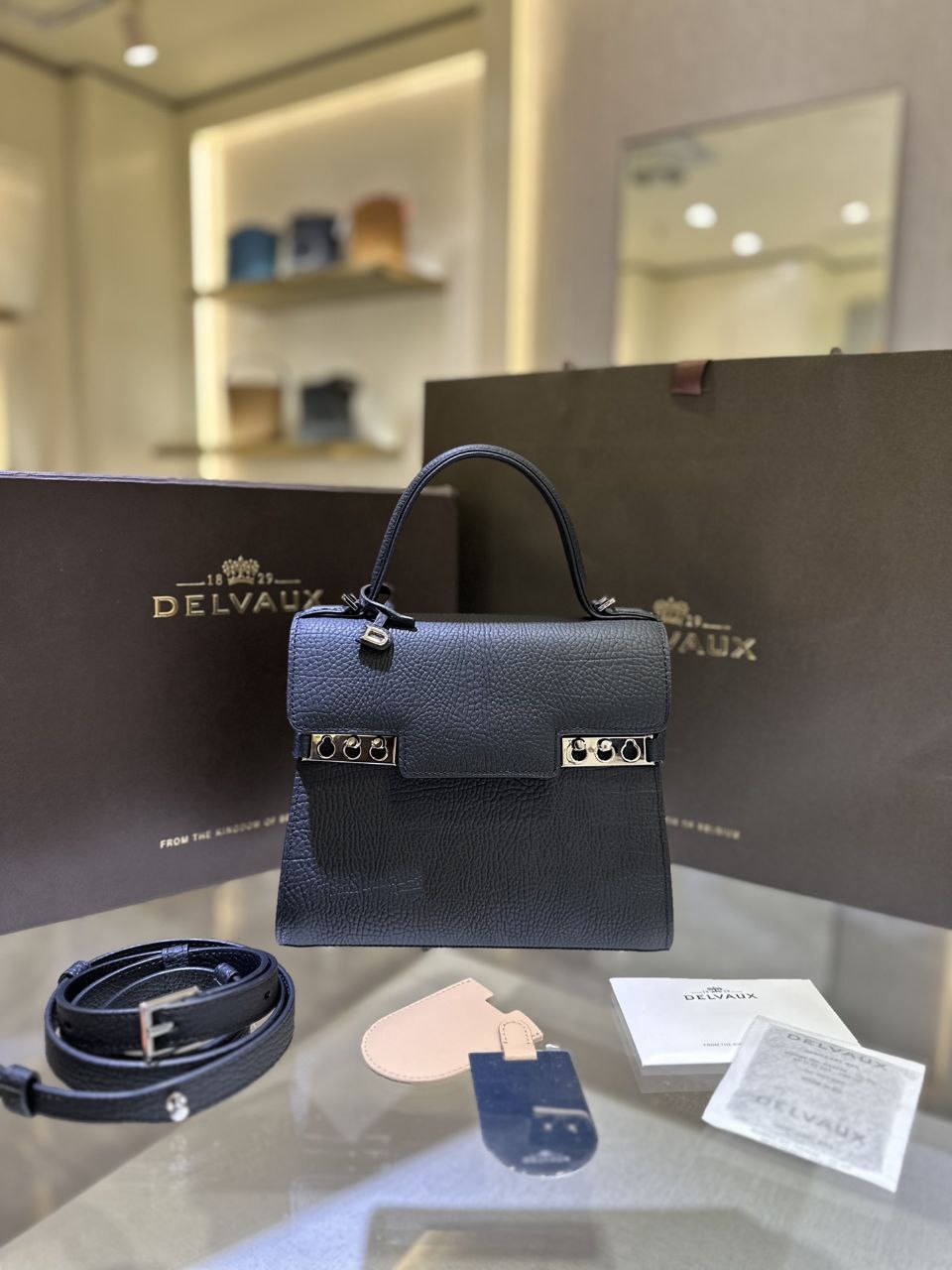 Delvaux Tempete PM Handbag