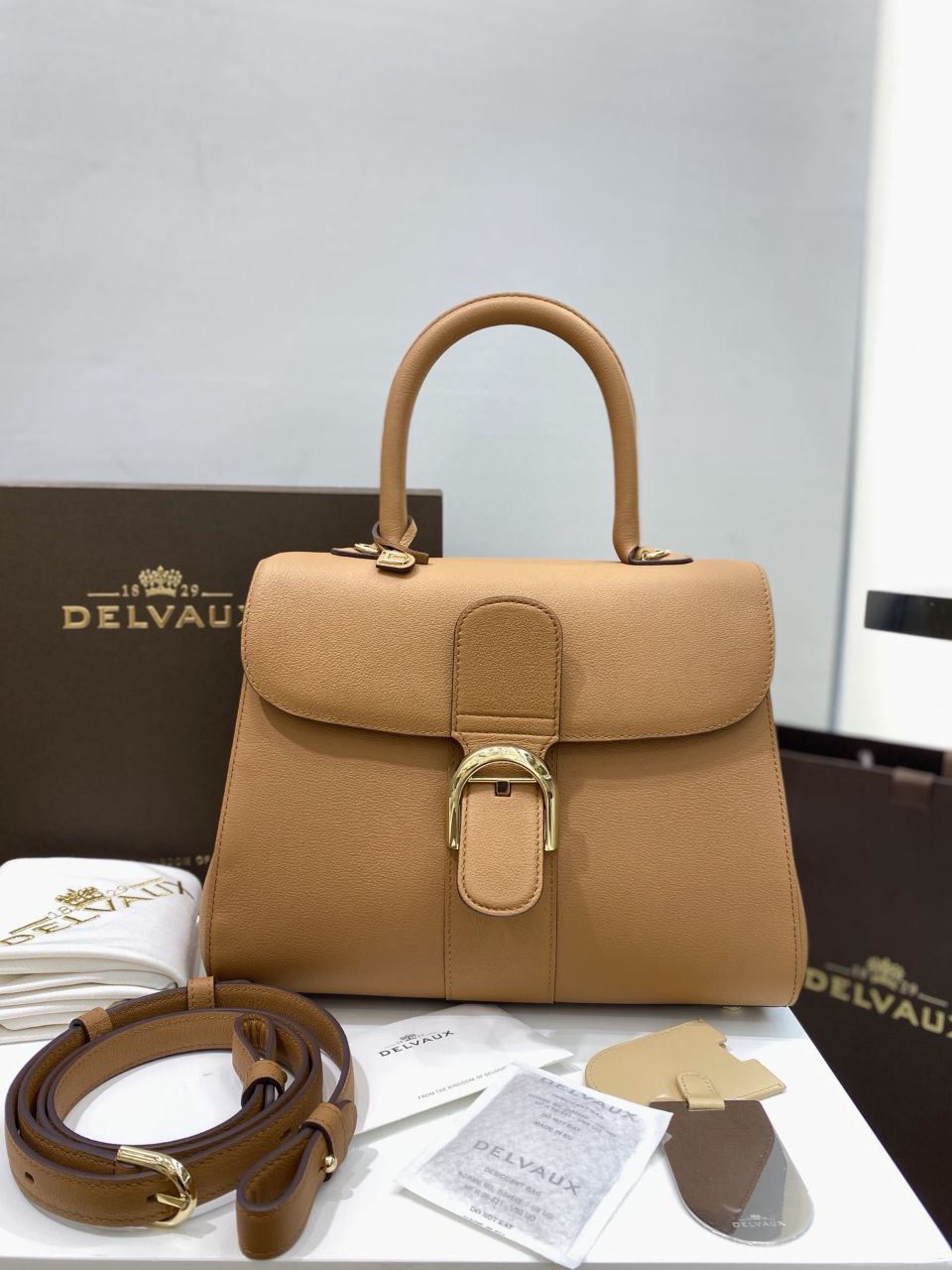 Delvaux Brillant Togo Handbag