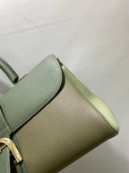 Delvaux Brillant Togo Handbag