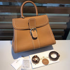 Delvaux Brillant Togo Handbag