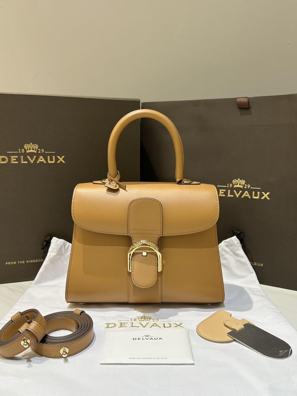 Delvaux Brillant PP Handbag