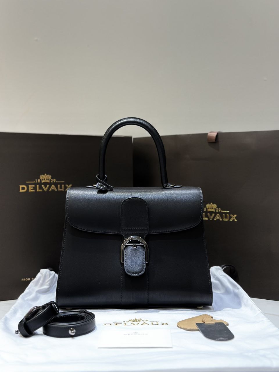 Delvaux Brillant MM Handbag
