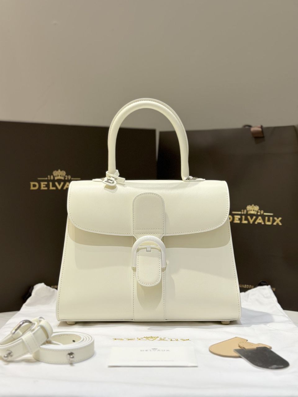 Delvaux Brillant MM Handbag