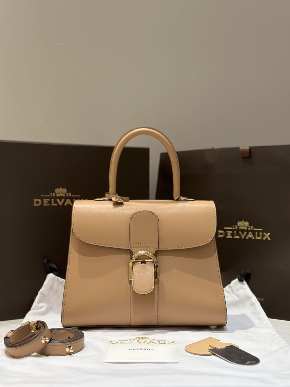 Delvaux Brillant MM Handbag