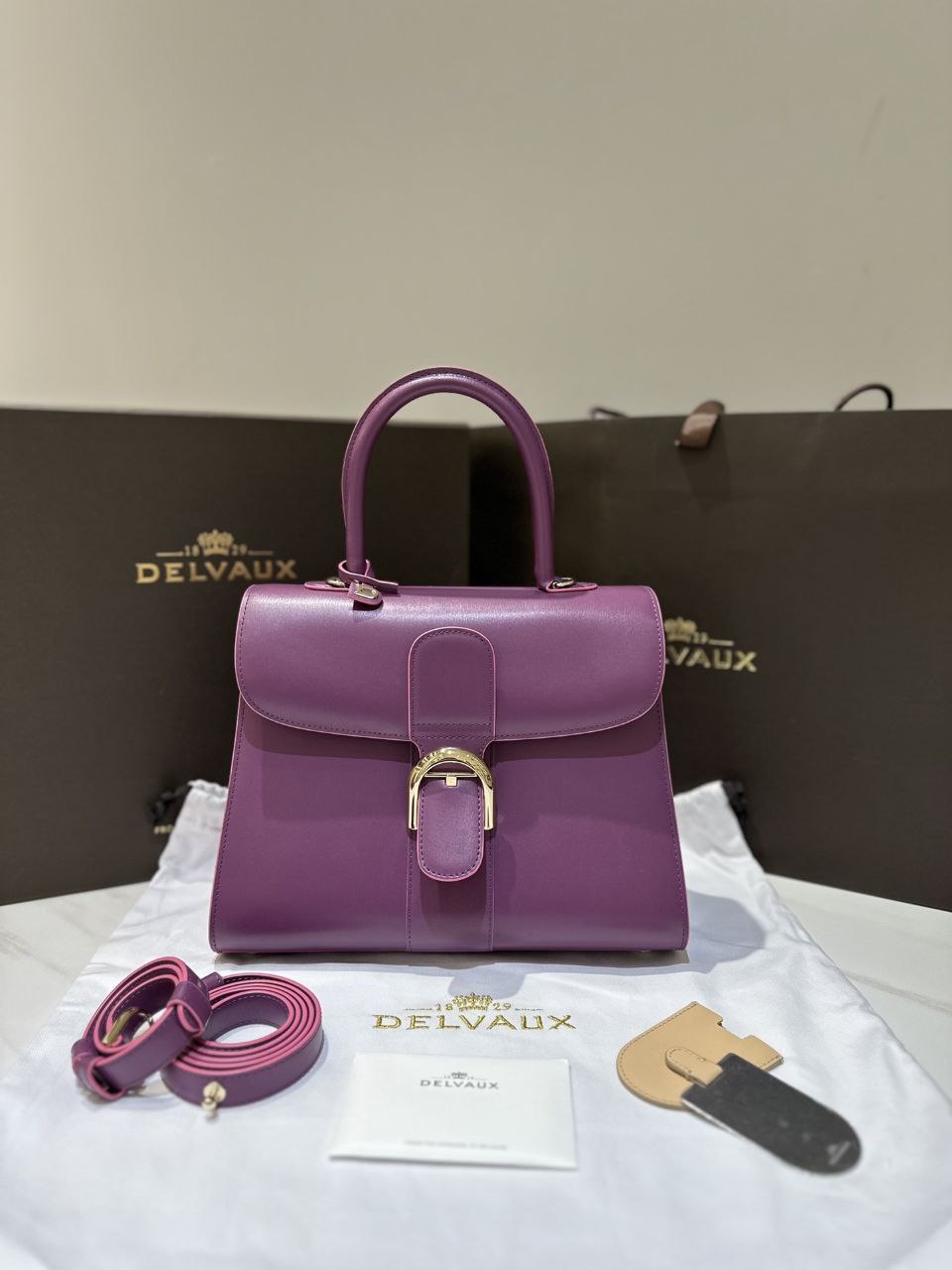 Delvaux Brillant MM Handbag