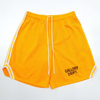Gallery Dept Shorts