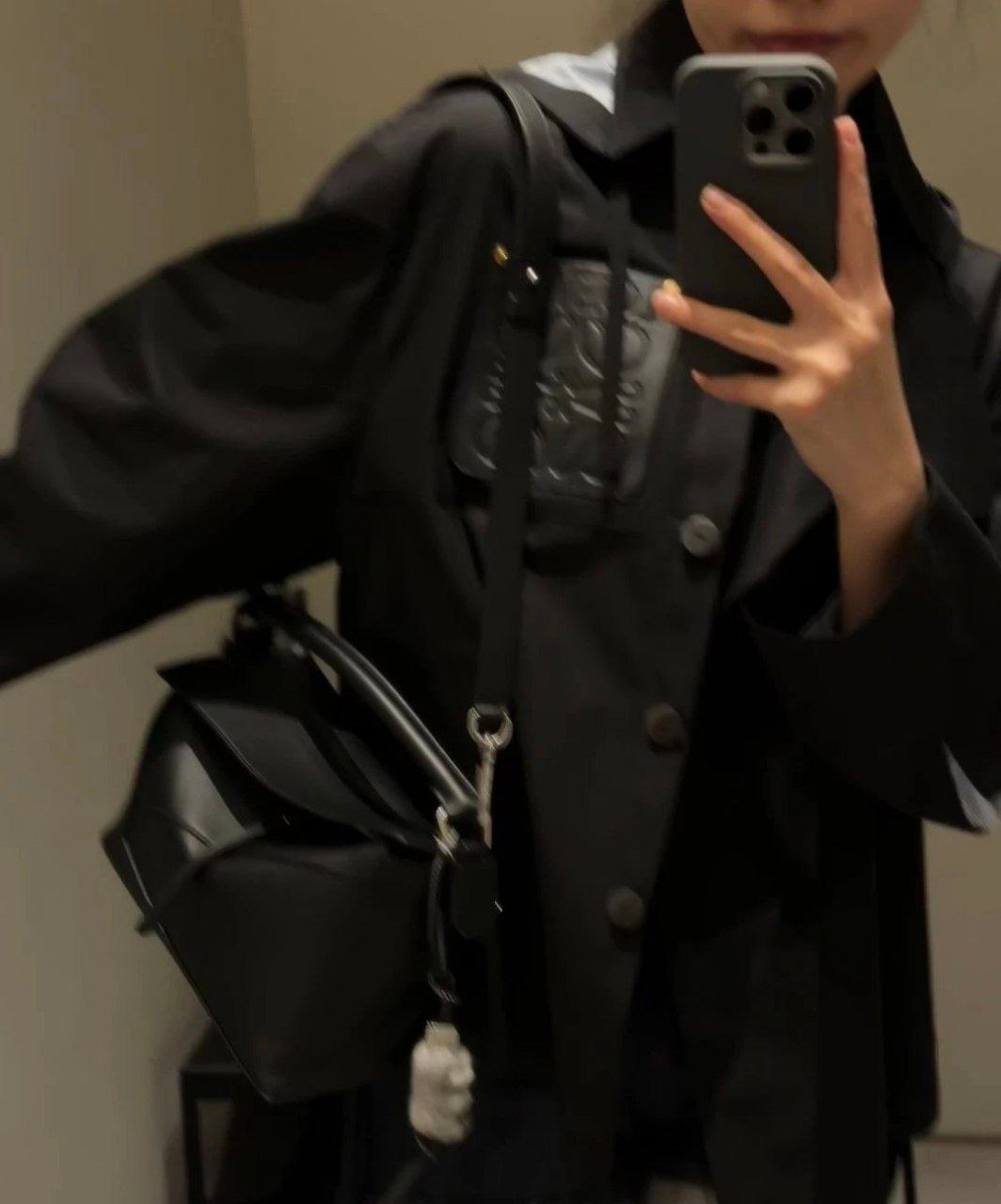 Loewe Puzzle Bag (Medium)