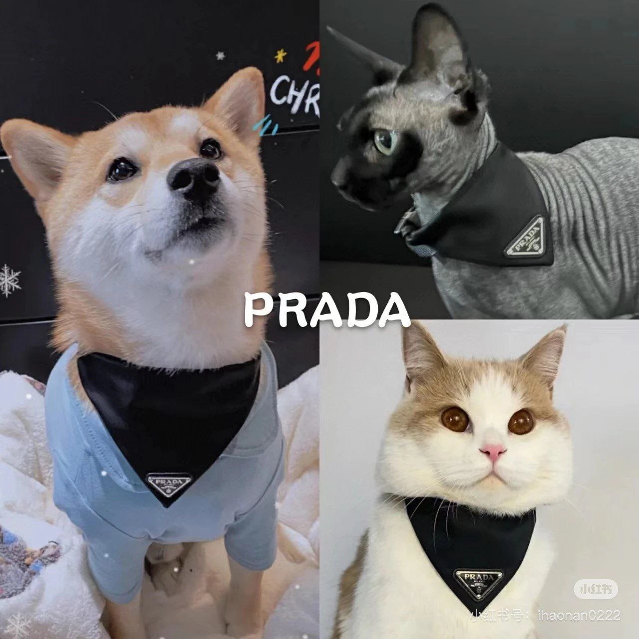Prada Re-Nylon Pet Collar