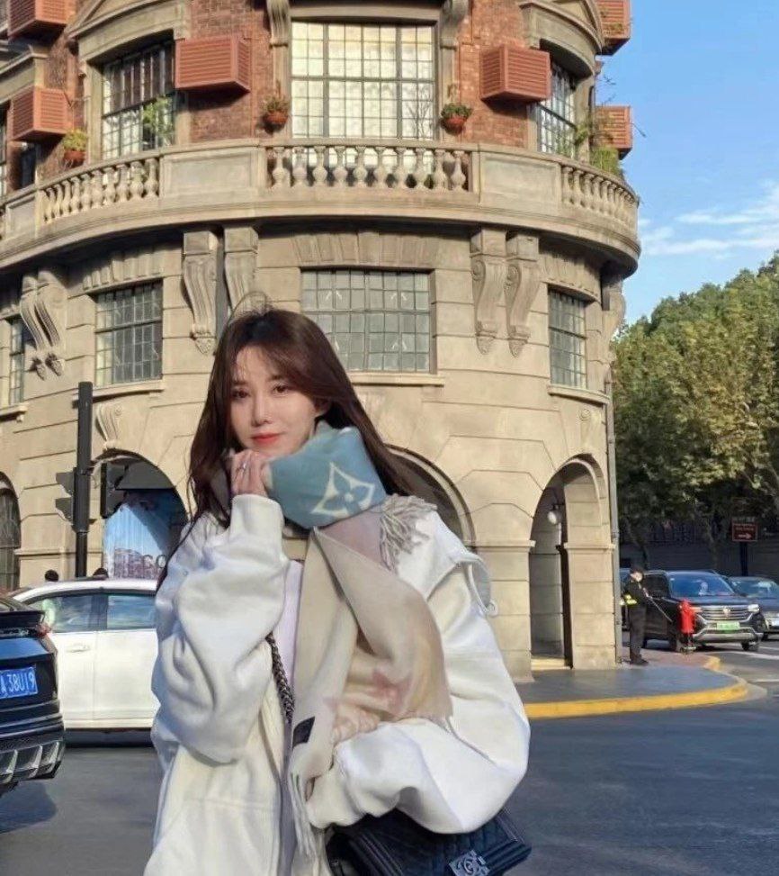 Louis Vuitton Reykjavik Gradient Scarf