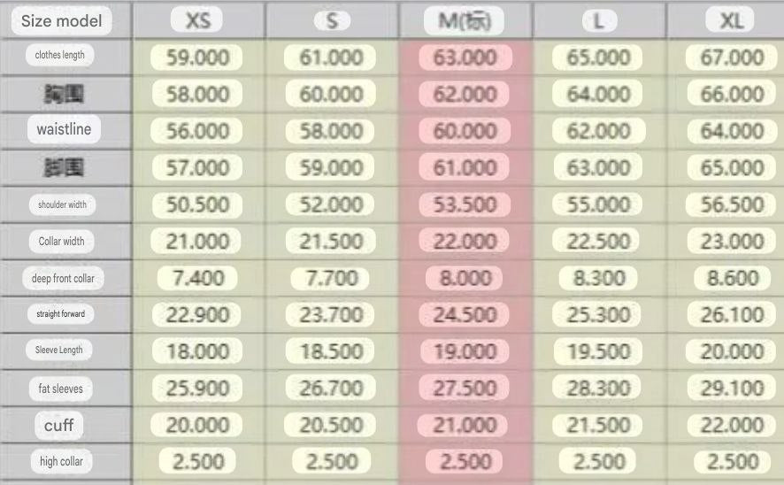 Balenciaga Nicole Boxy T-Shirt