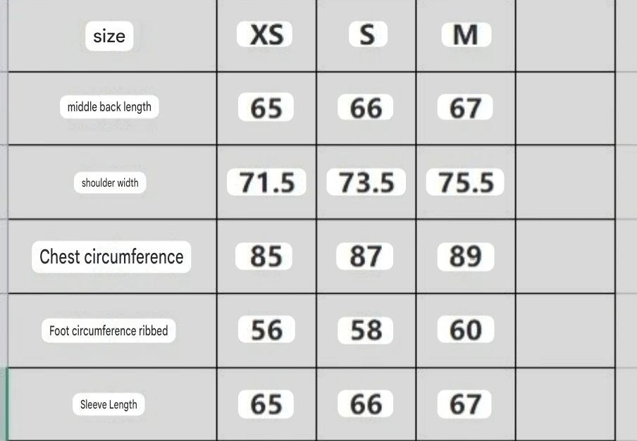 Balenciaga Incognito Hooded Bomber Jacket