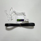 The Row Caspian Leather Belt