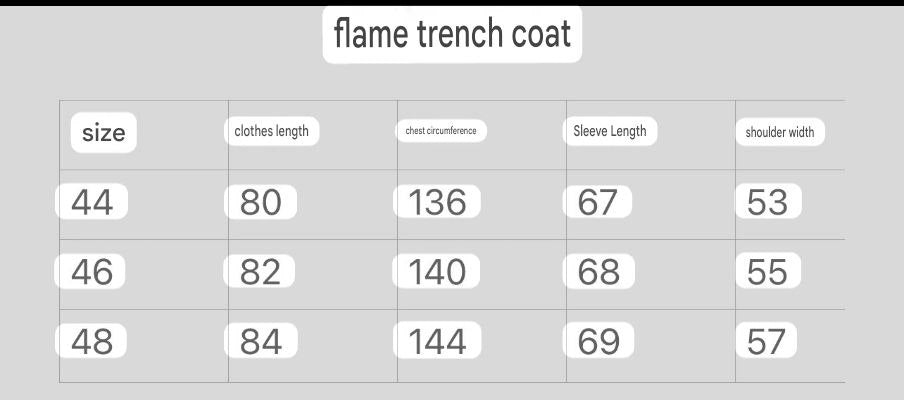 Balenciaga Flame Trench Zip-Up Jacket