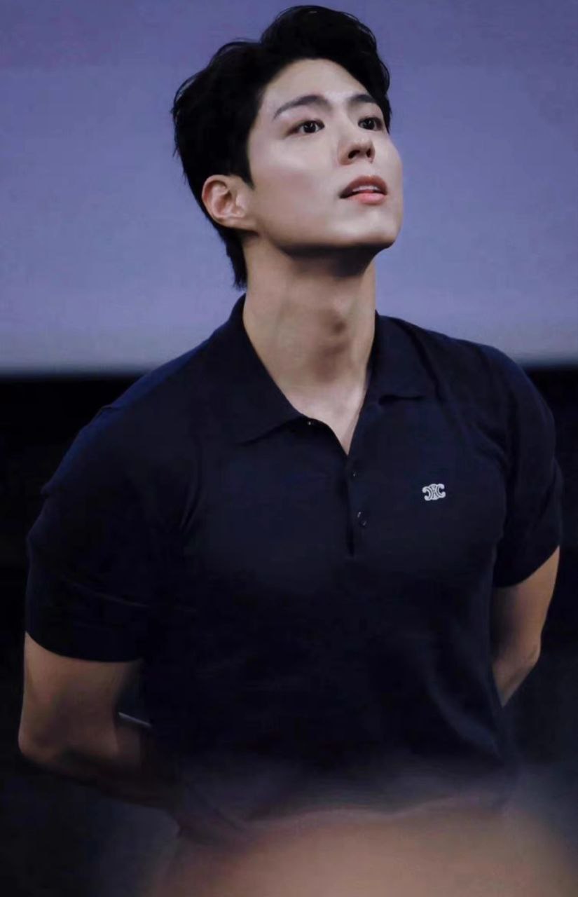 Celine Triomphe Polo T-Shirt