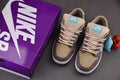 Nike SB Dunk Low Big Money Savings