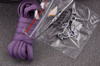 Nike SB Dunk Low Purple Pigeon