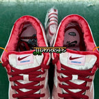 Nike SB Dunk Low StrangeLove Skateboards