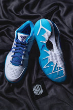 Nike Kobe 4 Draft Day Hornets