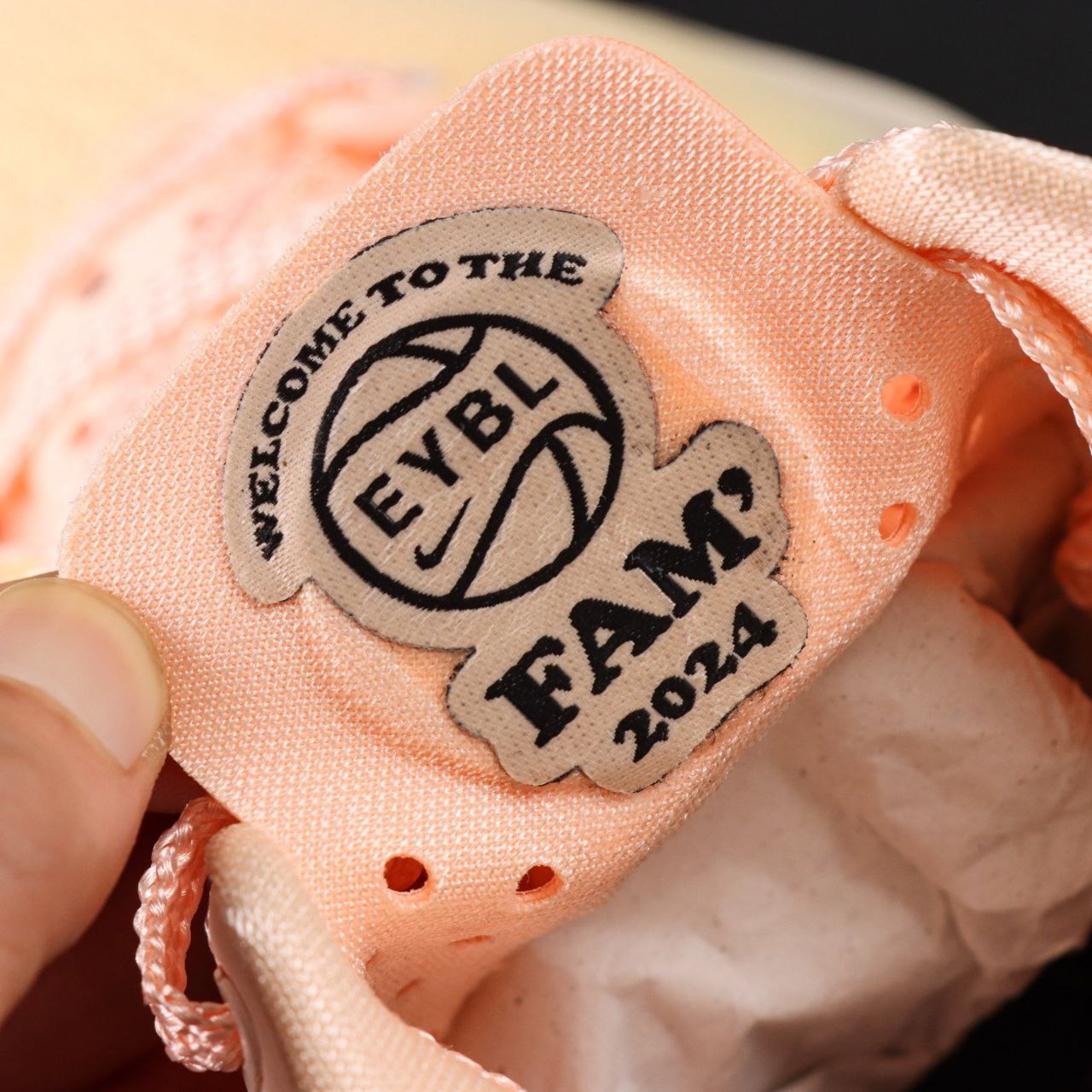 Nike Kobe 8 Protro EYBL Academy PE