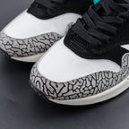 Nike Air Max 1 atmos Elephant (2017)